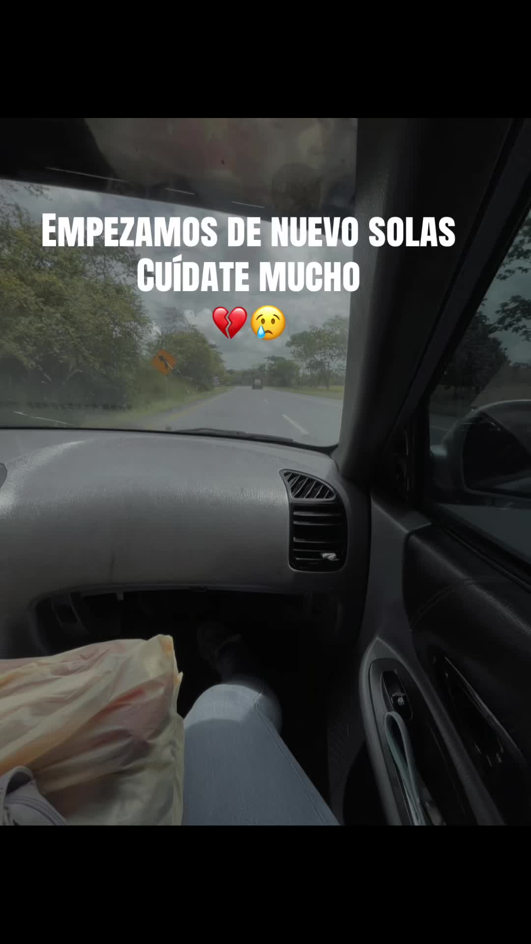 @Gata😻🦋