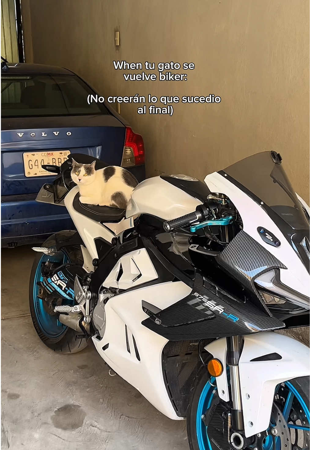 @chrisvital__