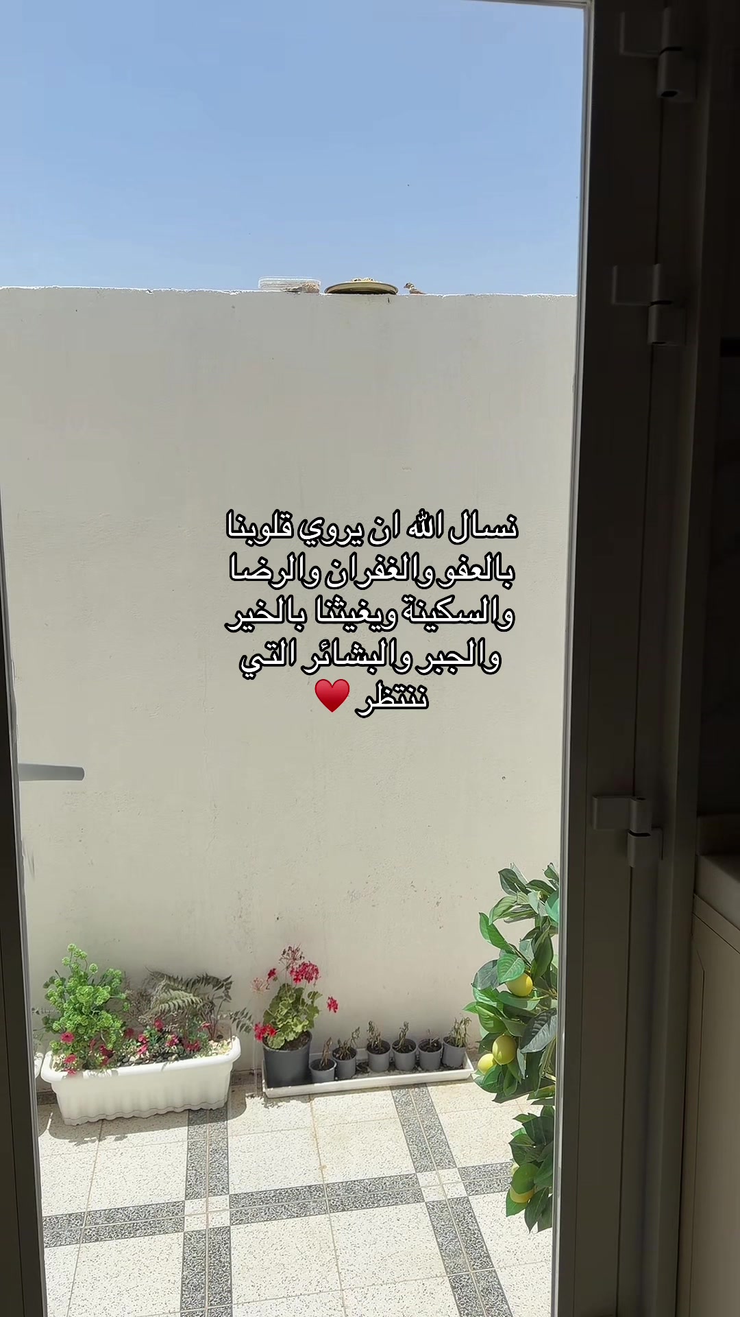 @Huda Alzahrani