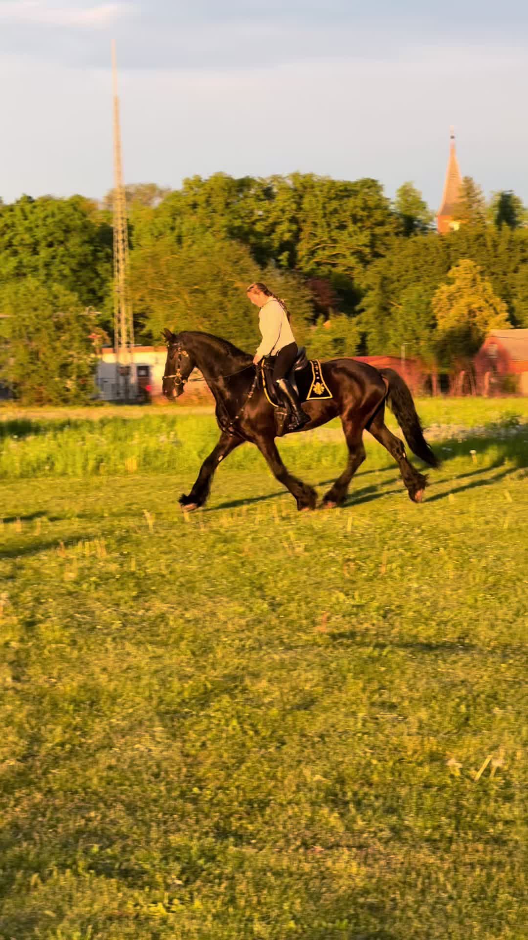 @Horses