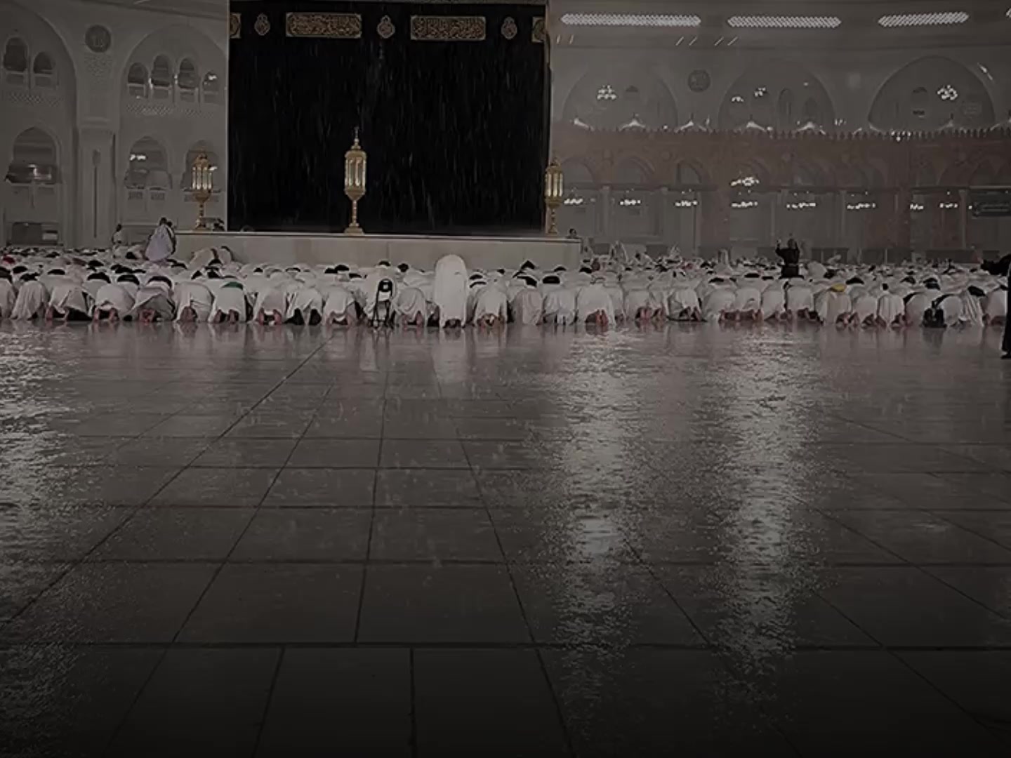 @𝐵𝓁𝓊 𝐻𝑒𝒶𝓇𝓉💙!