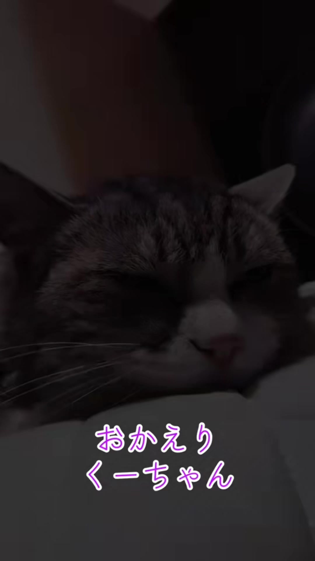 @くーちゃん