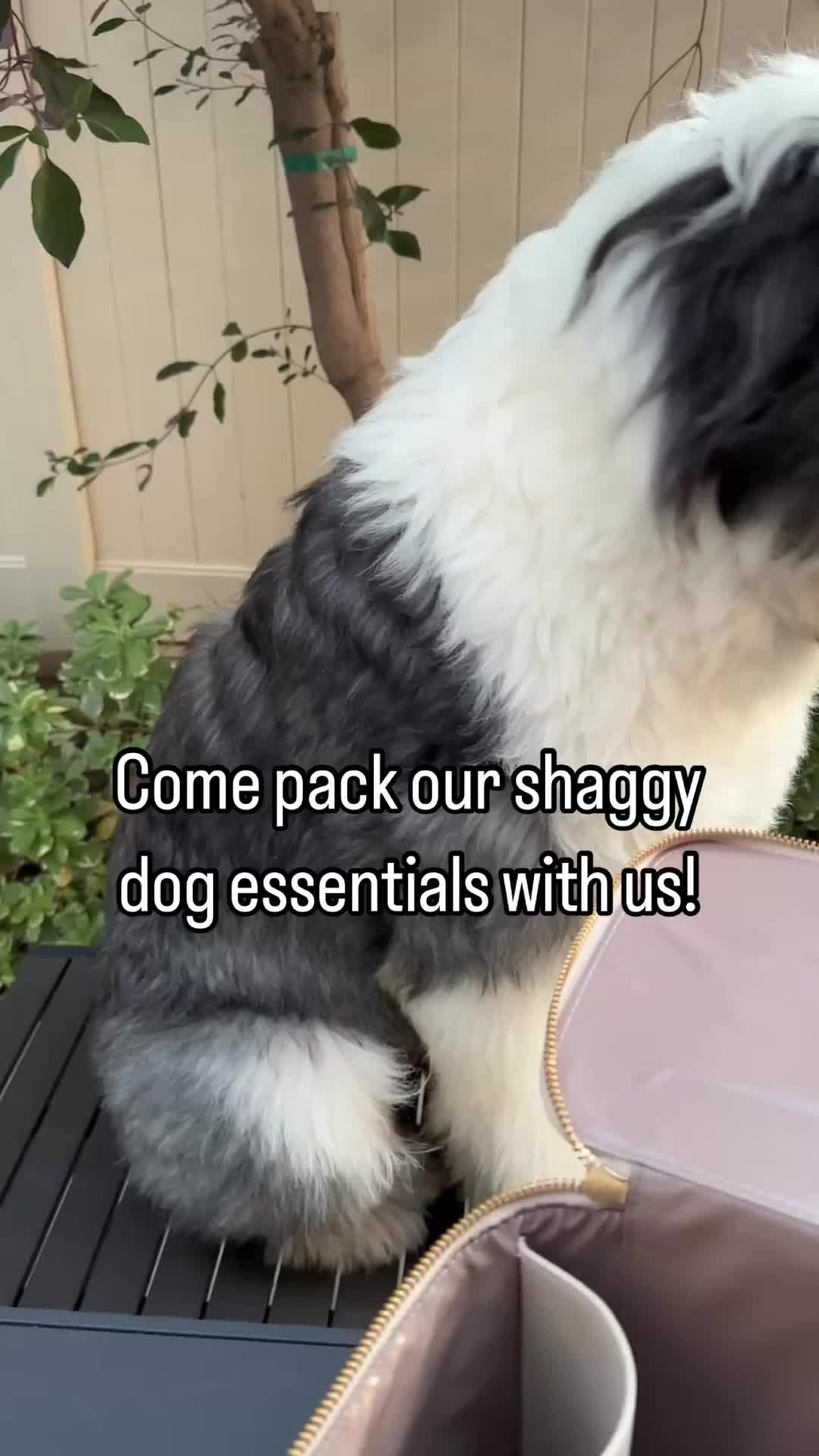 @Pupwell