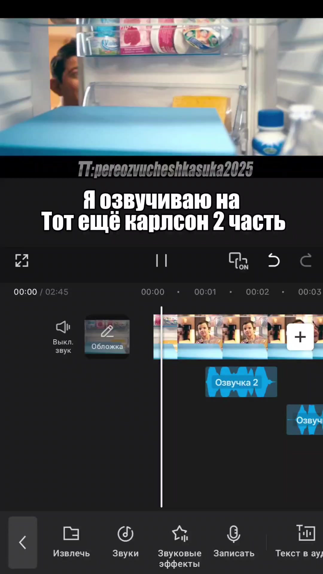 @ТГК:pereozvucheshkasuka2025