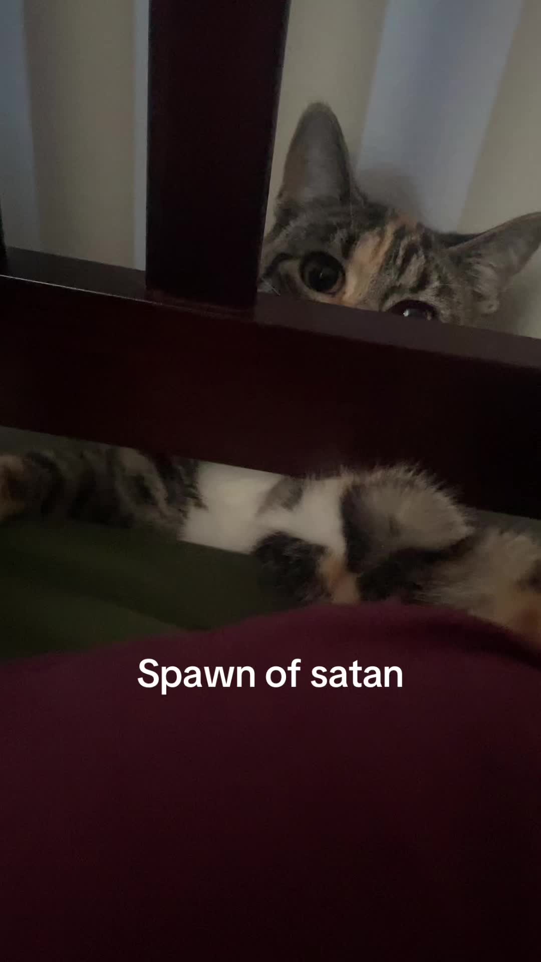 @Giuliana