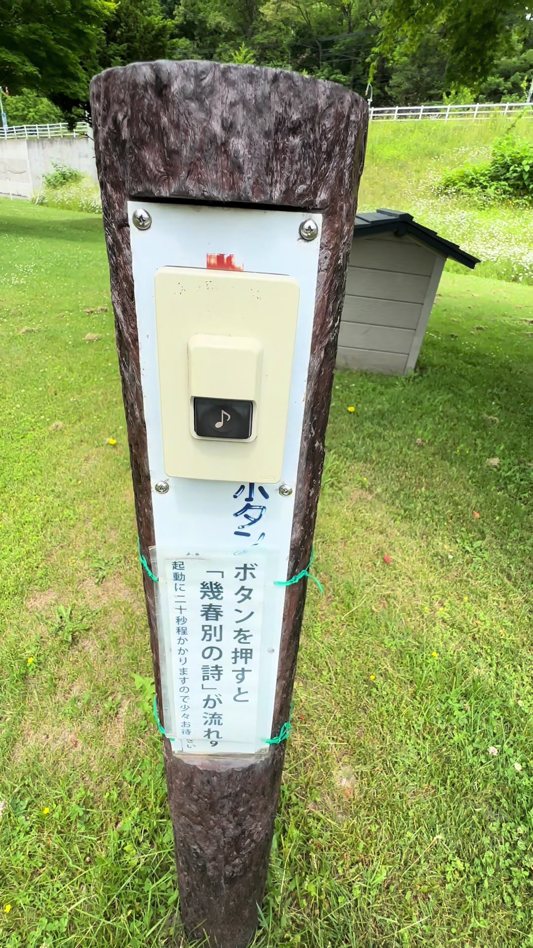 @モミゴンJK(南吉)