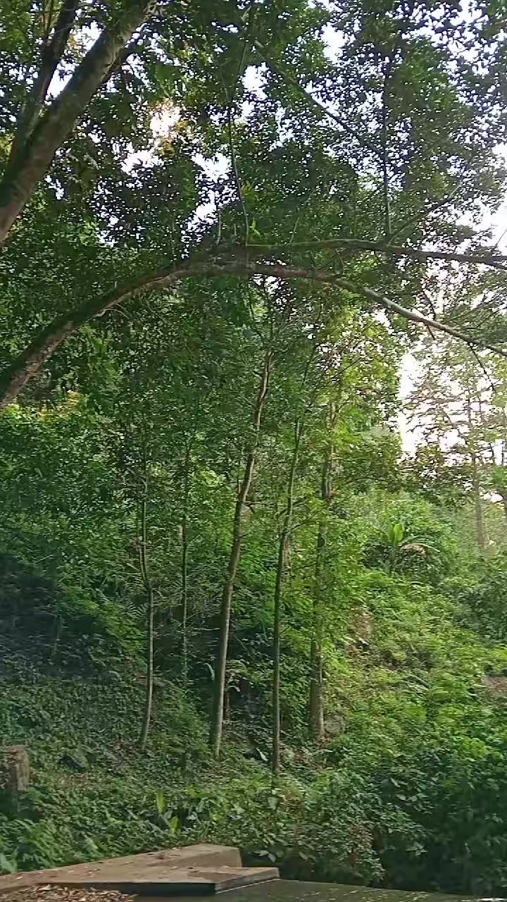 @JRO_BIRU