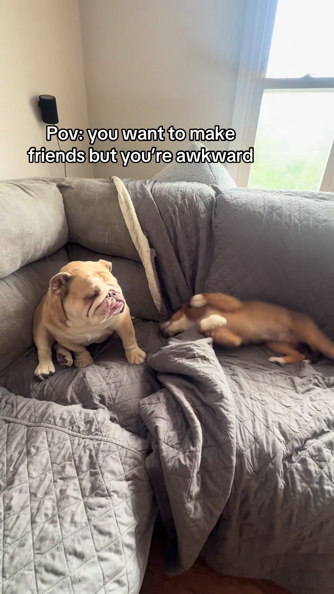 @Charlie & Mable
