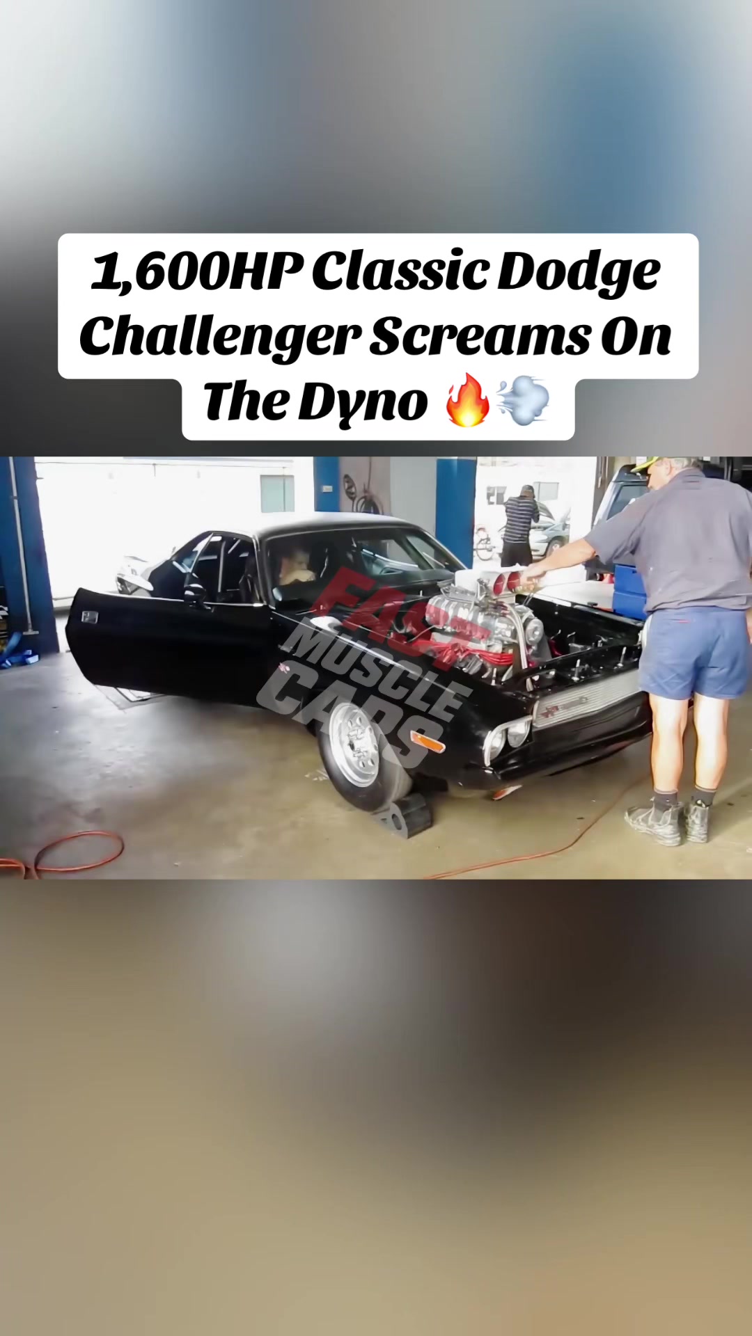 @Muscle Cars