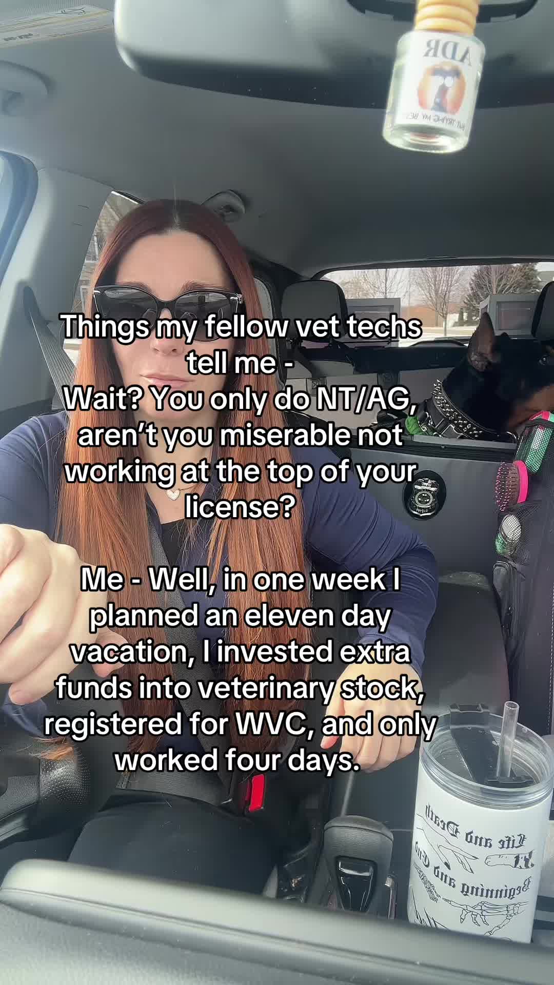 @The.Mobile.Vet.Tech