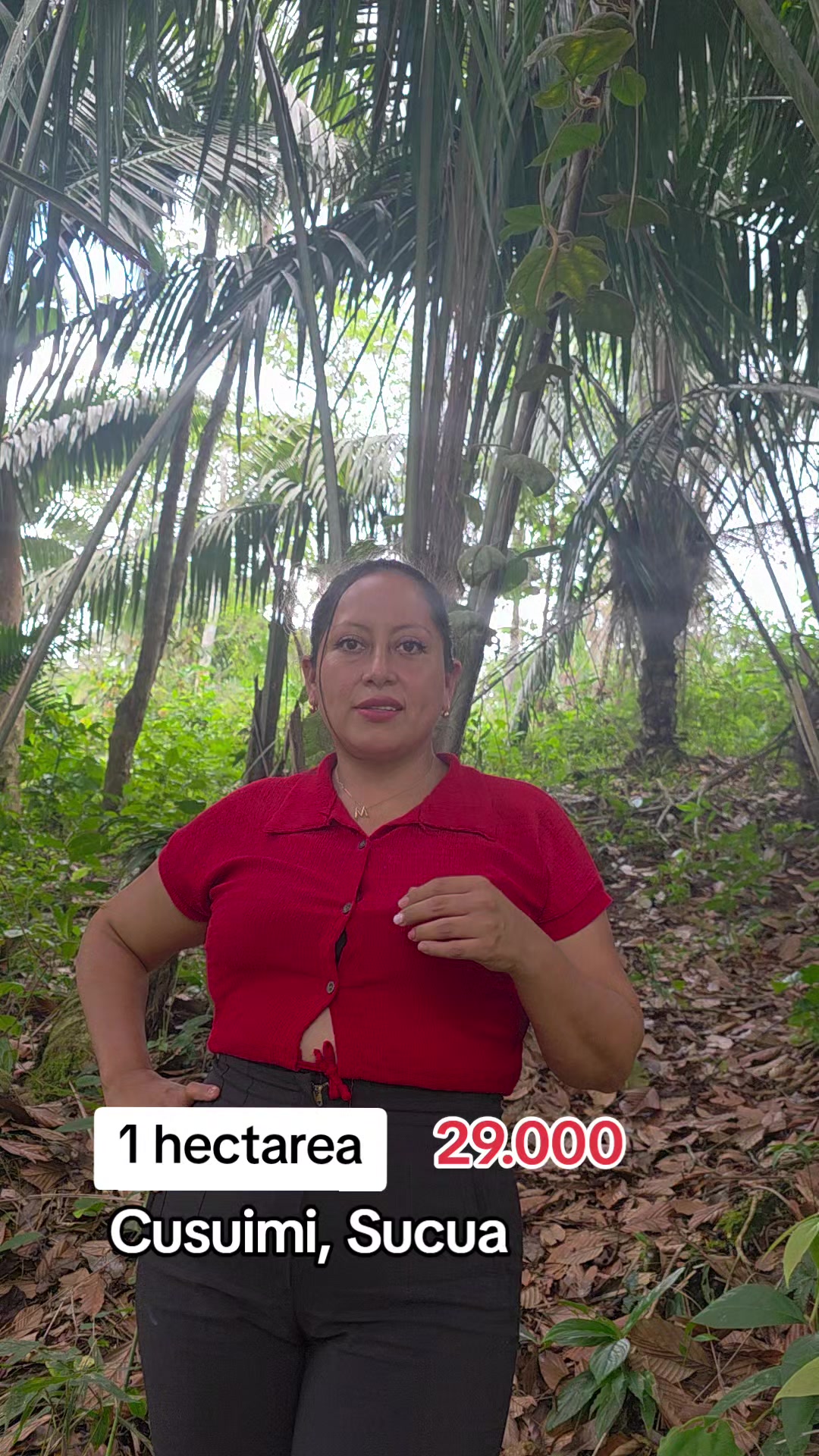 @luz