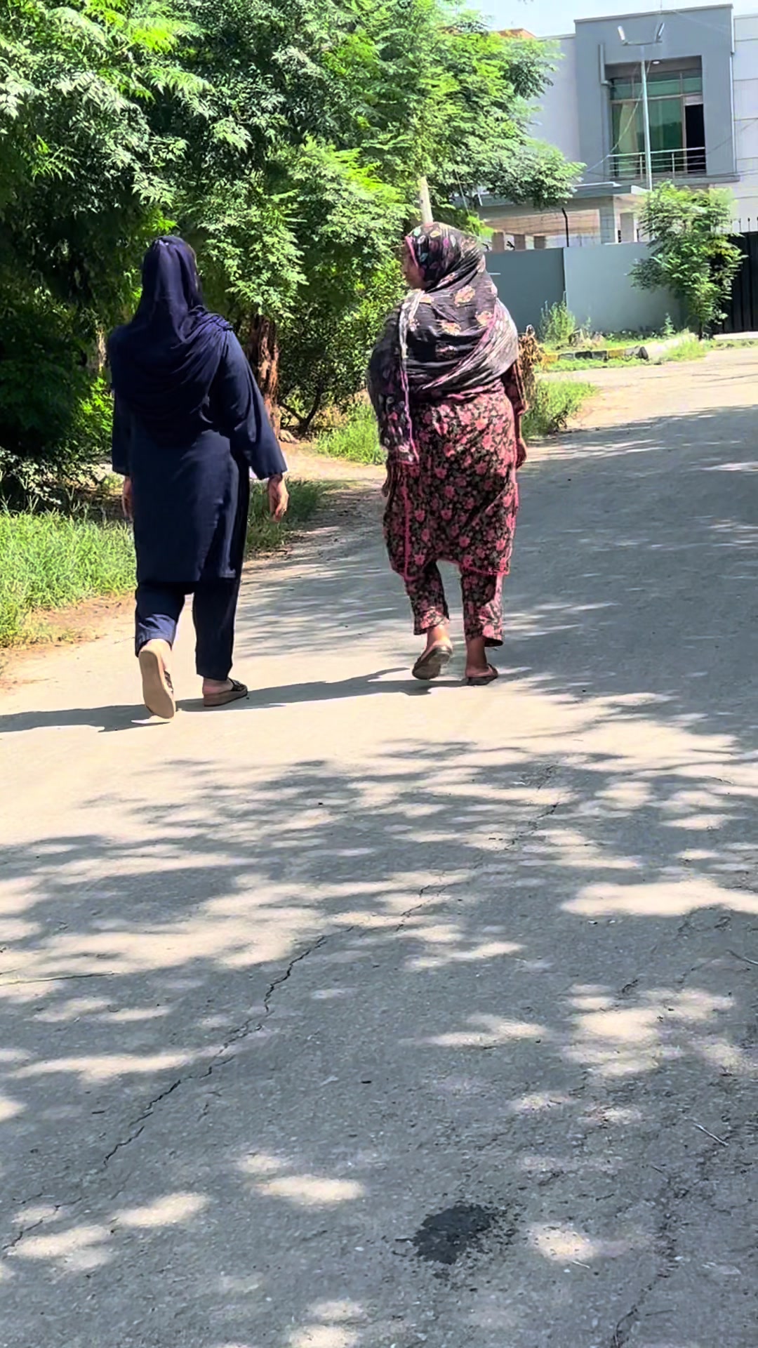 @pakistaniaunties