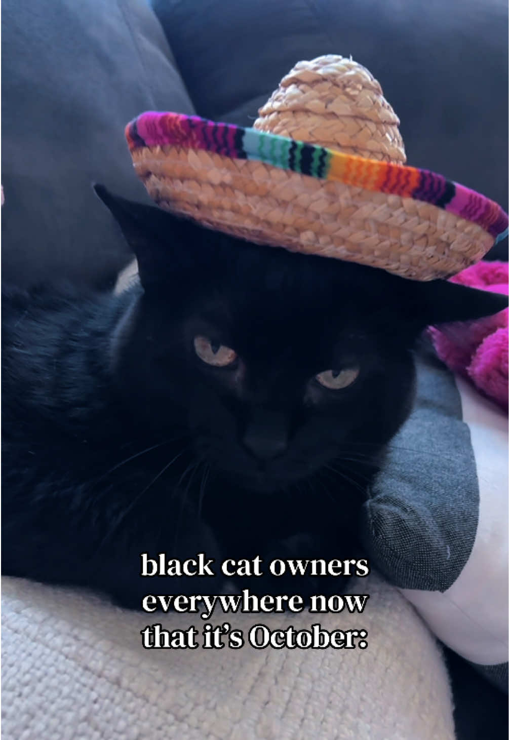 @millennialmomshell