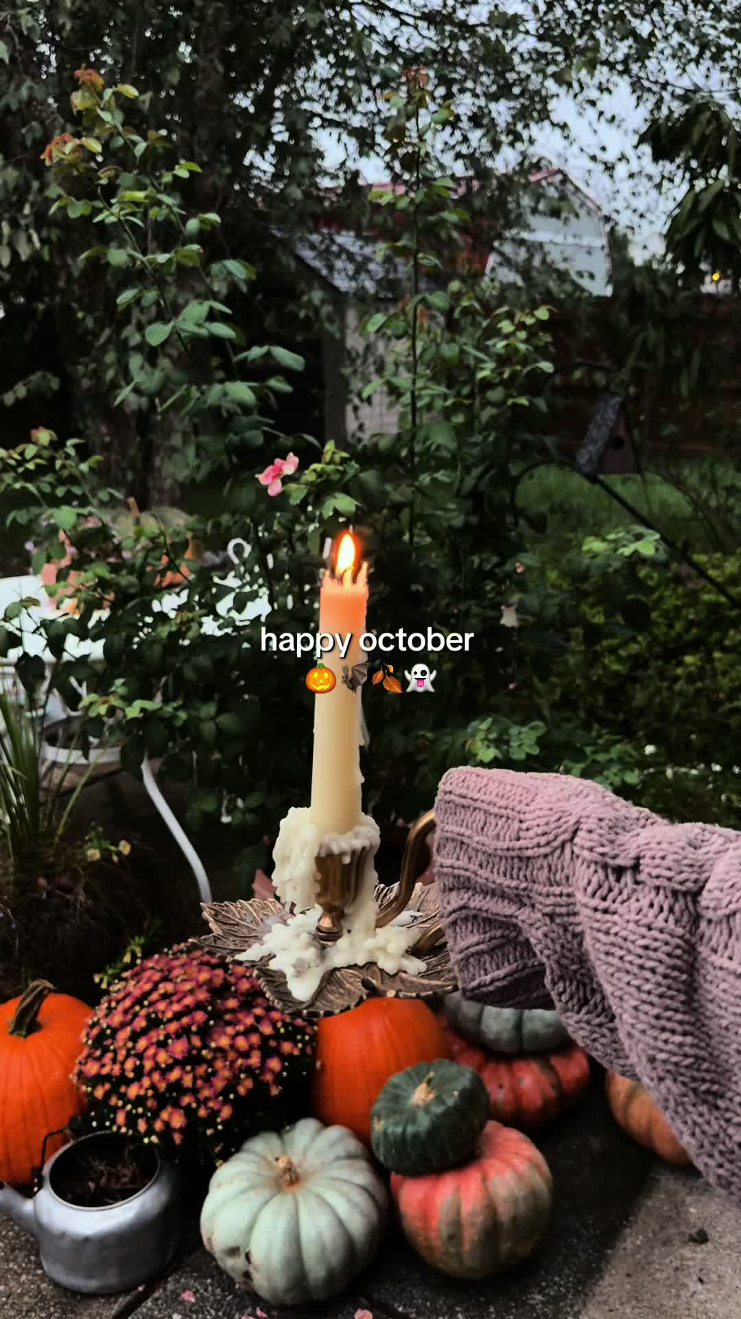 @kalena💐🧺