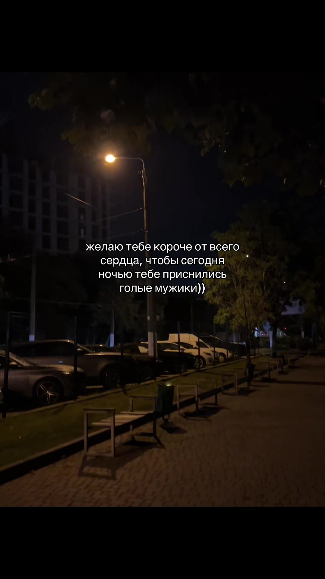 @мур мур 🐾