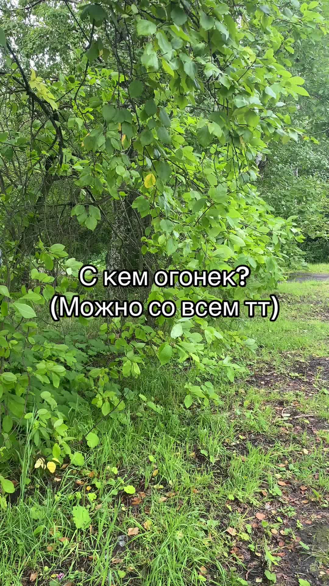 @Данил