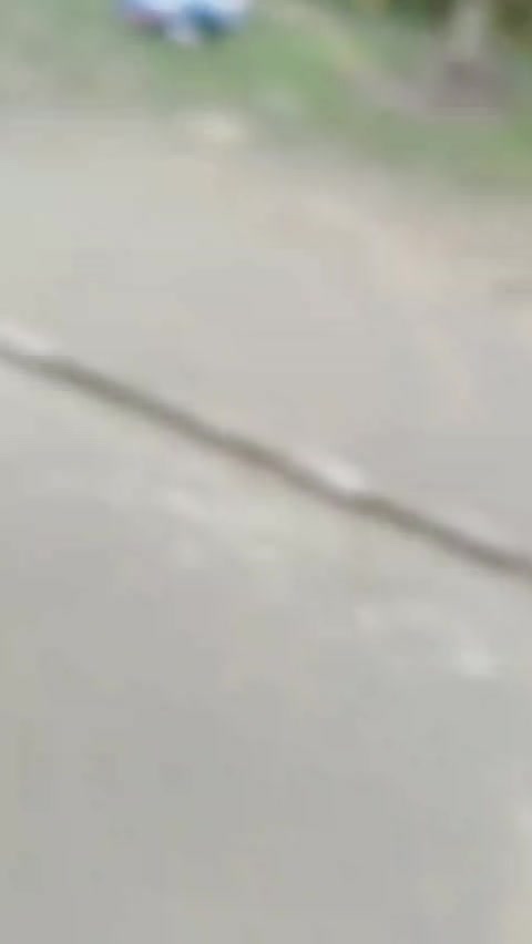 @sunitarana193