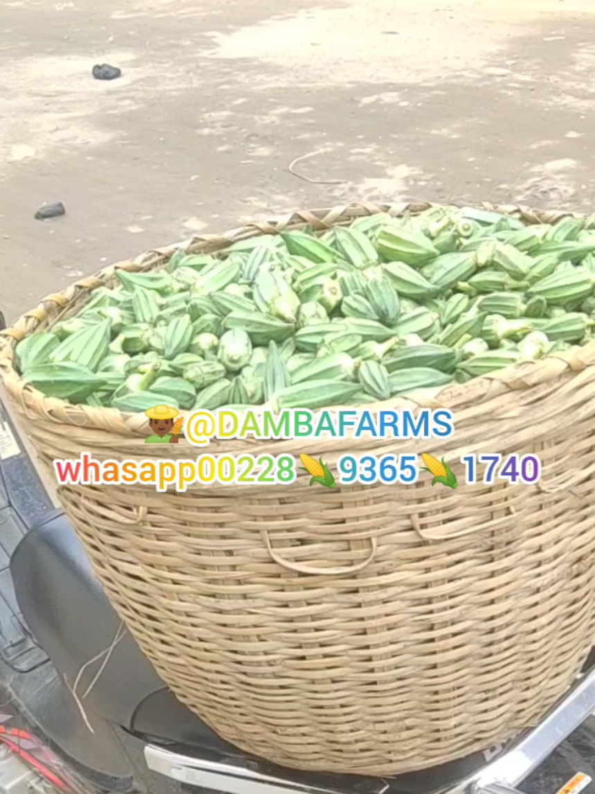 @dambafarms