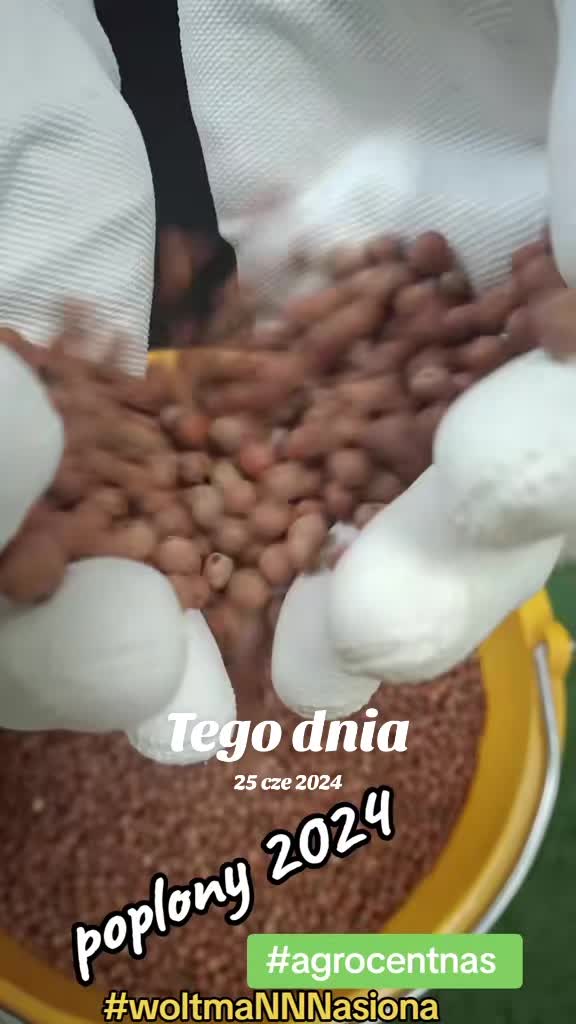 @WOLTMANNNASIONA