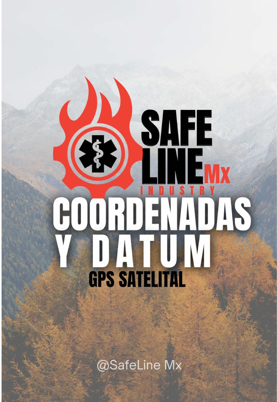 @SafeLine Mx