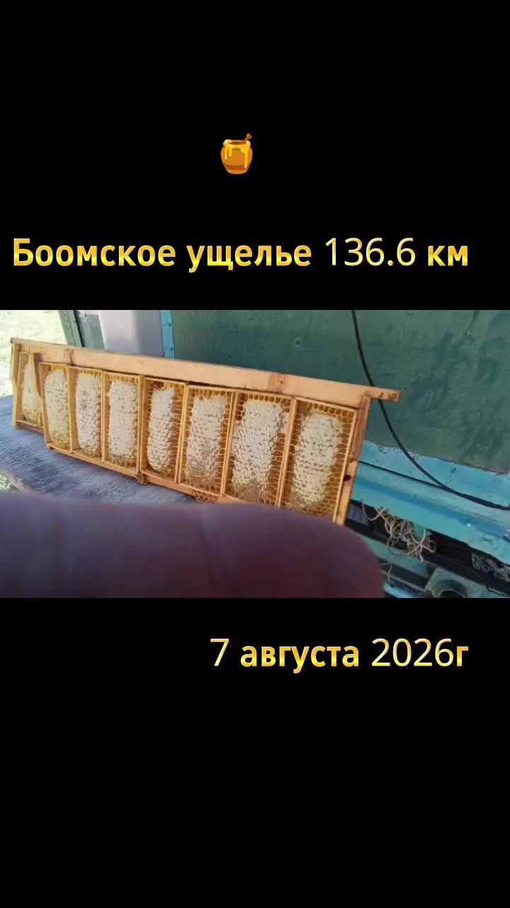@Джонсон Боомский