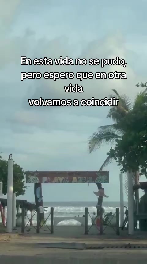 @andy_maria