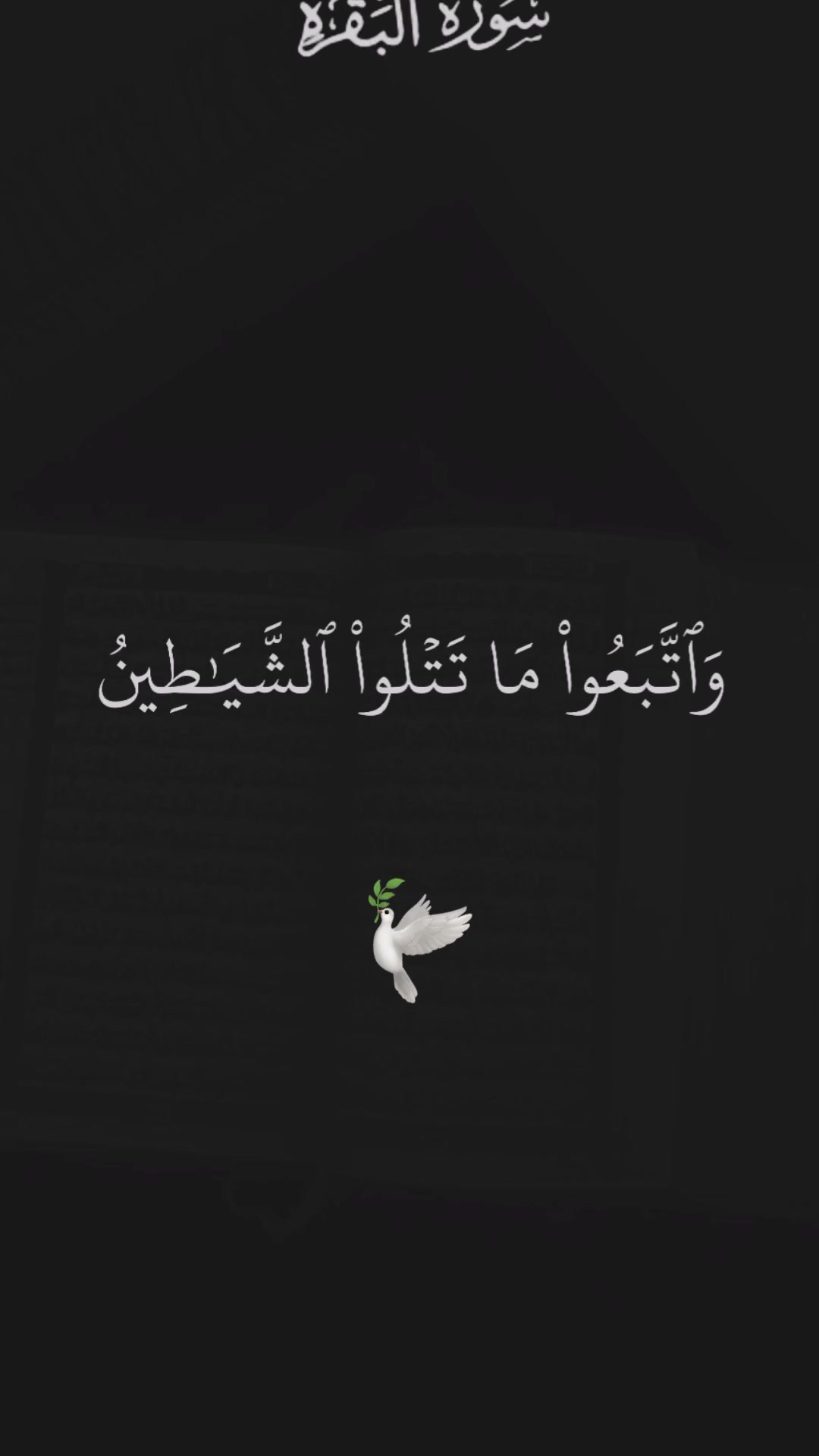 @القرآن الكريم 🕊🎧