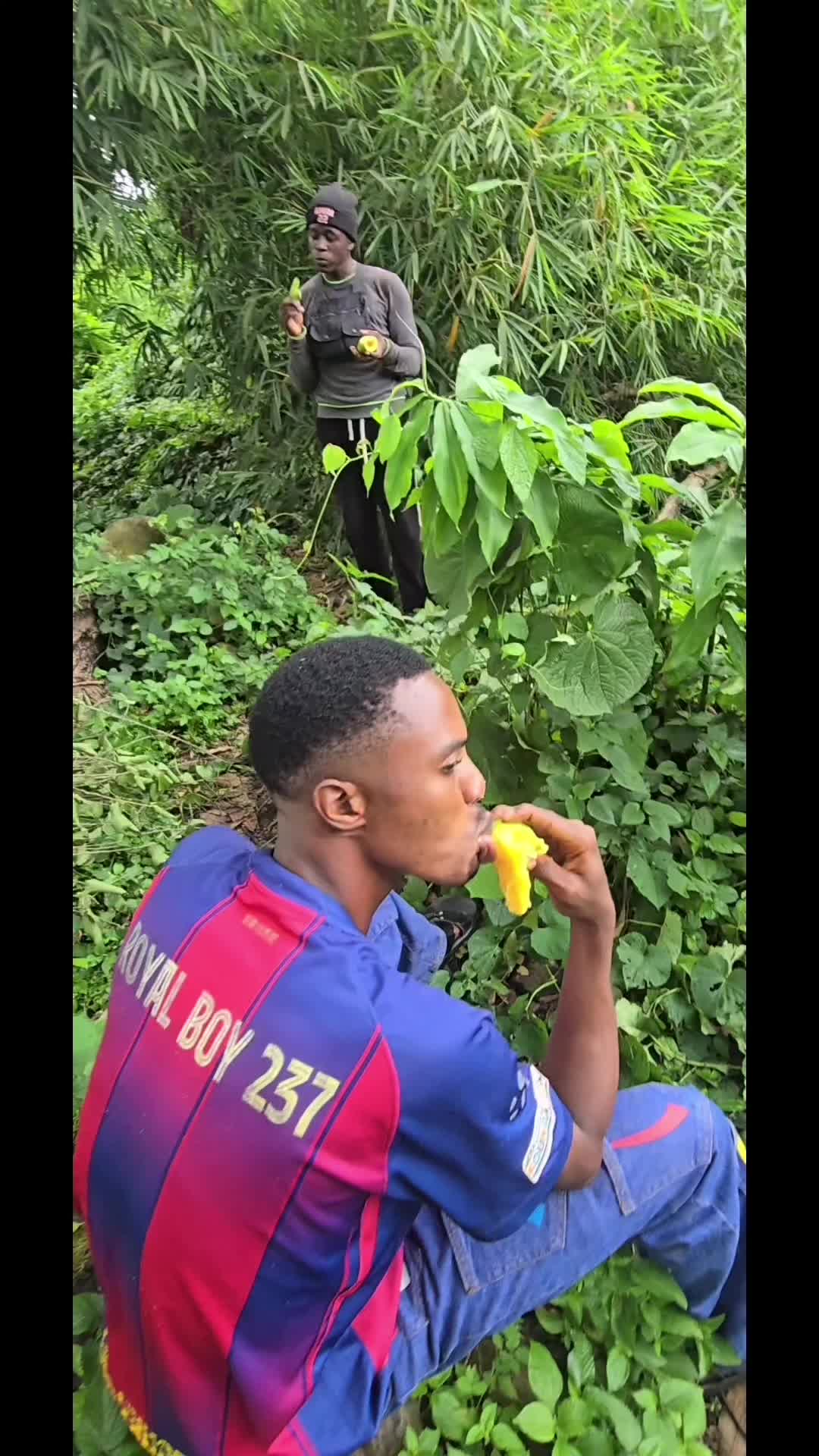 @Royal Boy 237