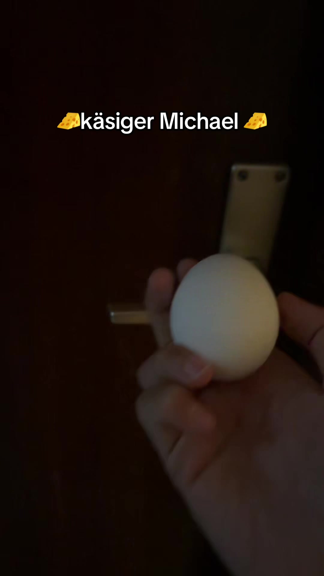 @𝐔𝐬𝐞𝐫&rsquo;🐬