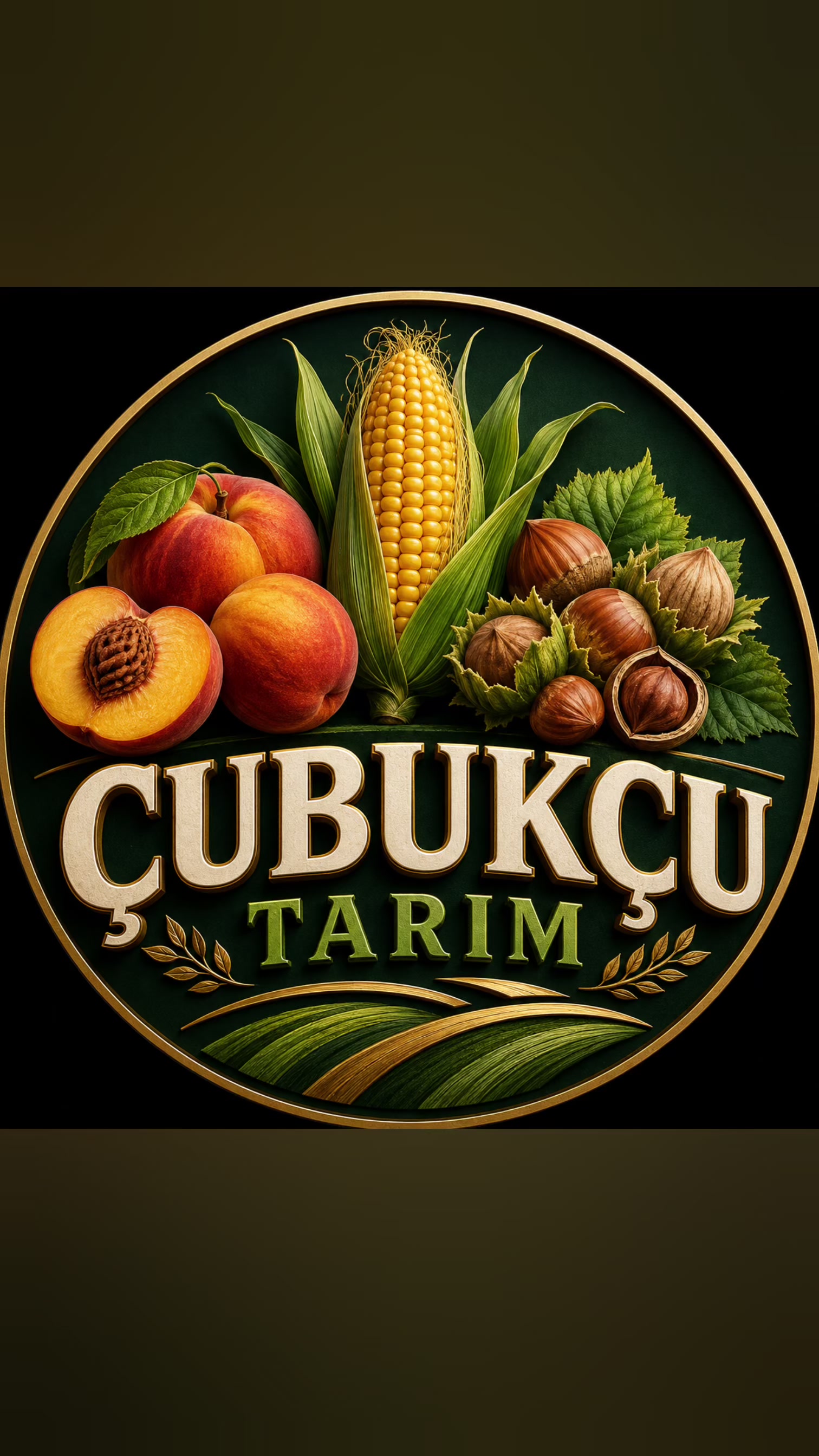 @alihancubukcu55