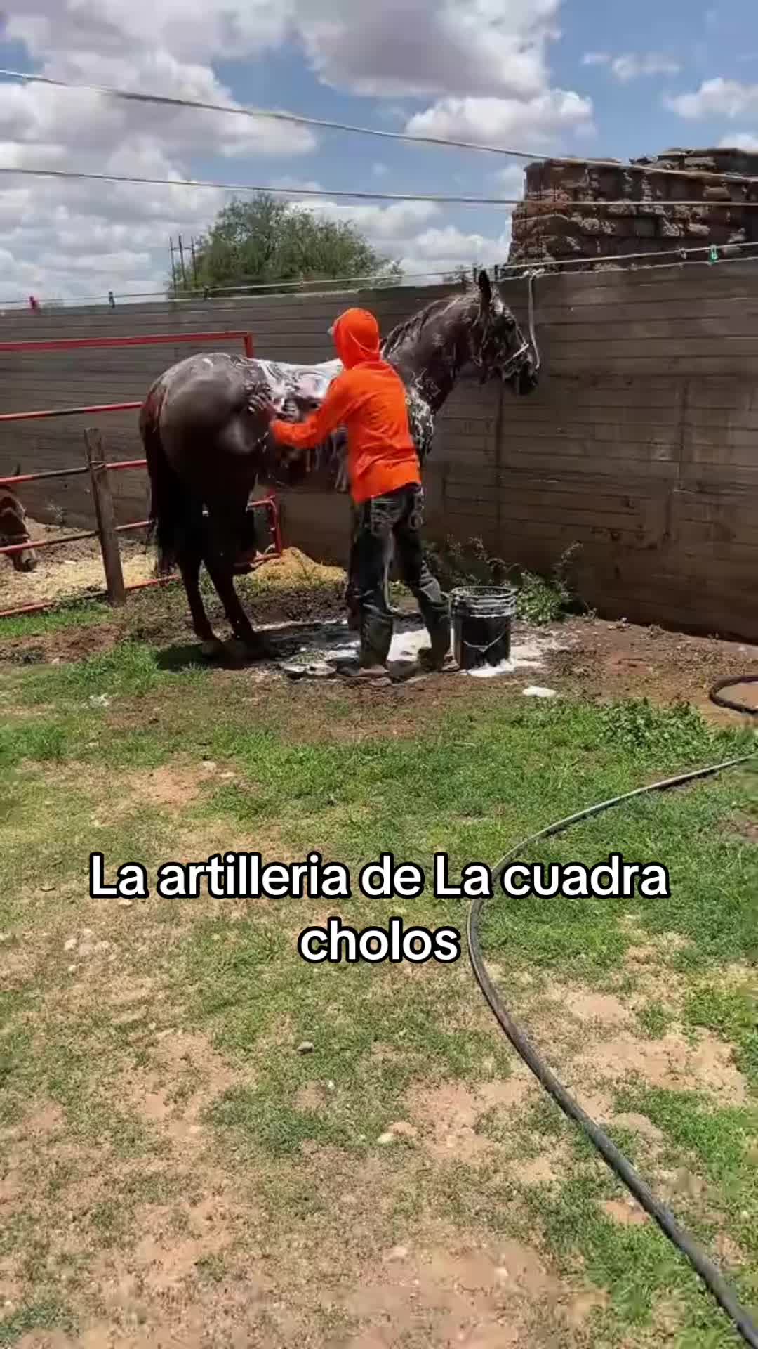 @Samuel Sánchez el sammy 😈😈👻