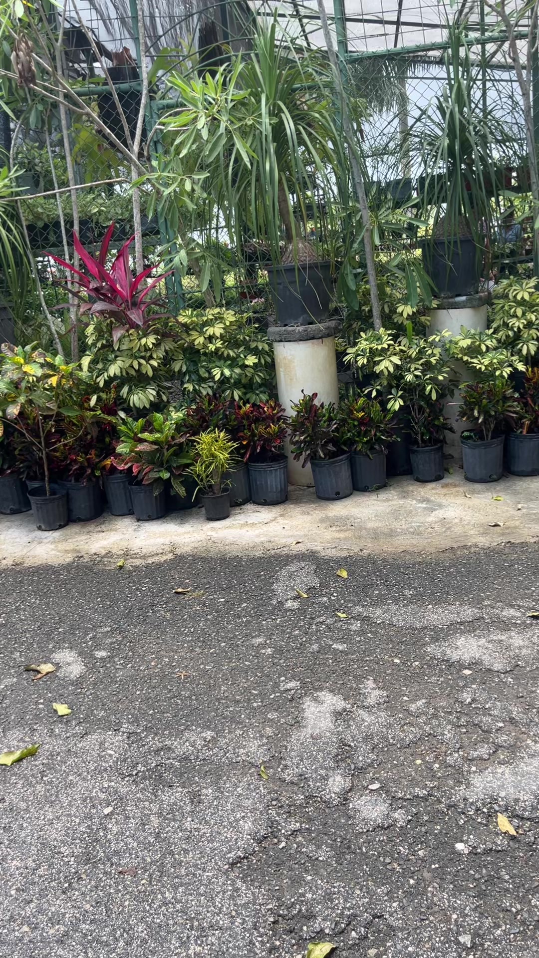 @De tienda en tienda