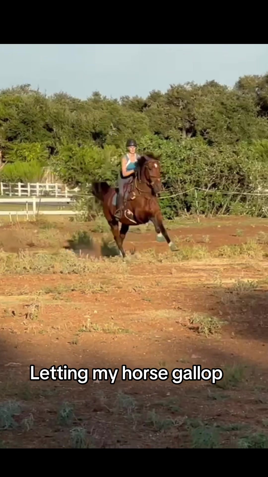 @ryan