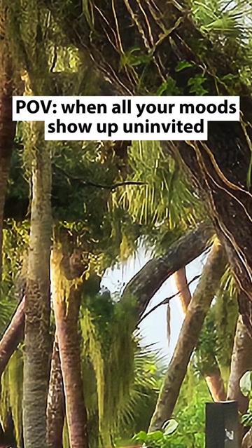 @V