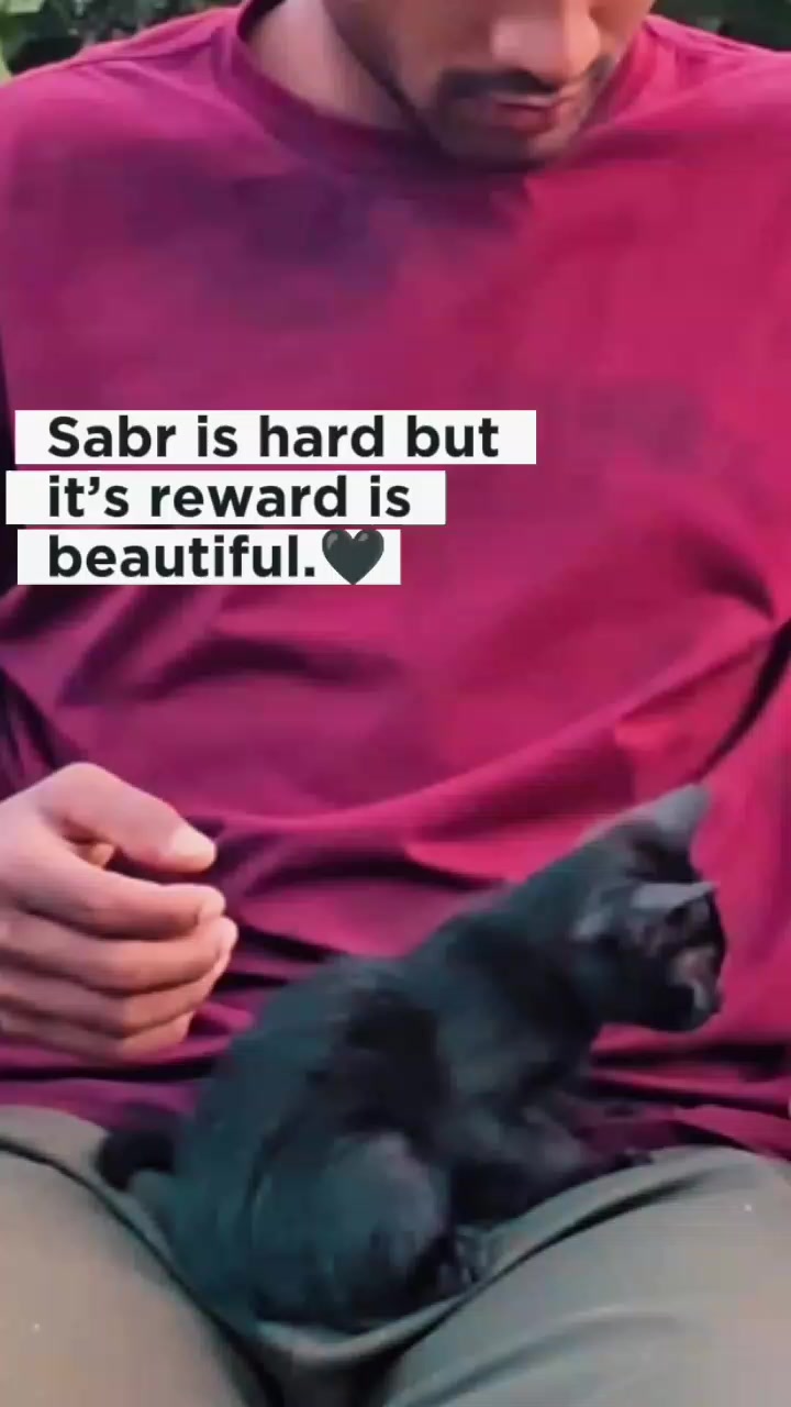 @🅐🐈&zwj;⬛