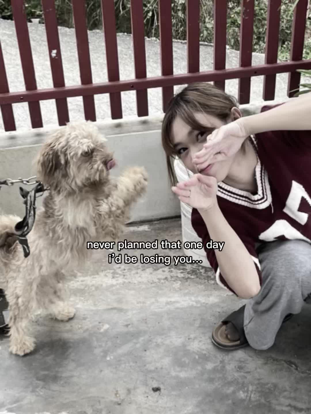 @Keytzhi 小爱🇨🇳
