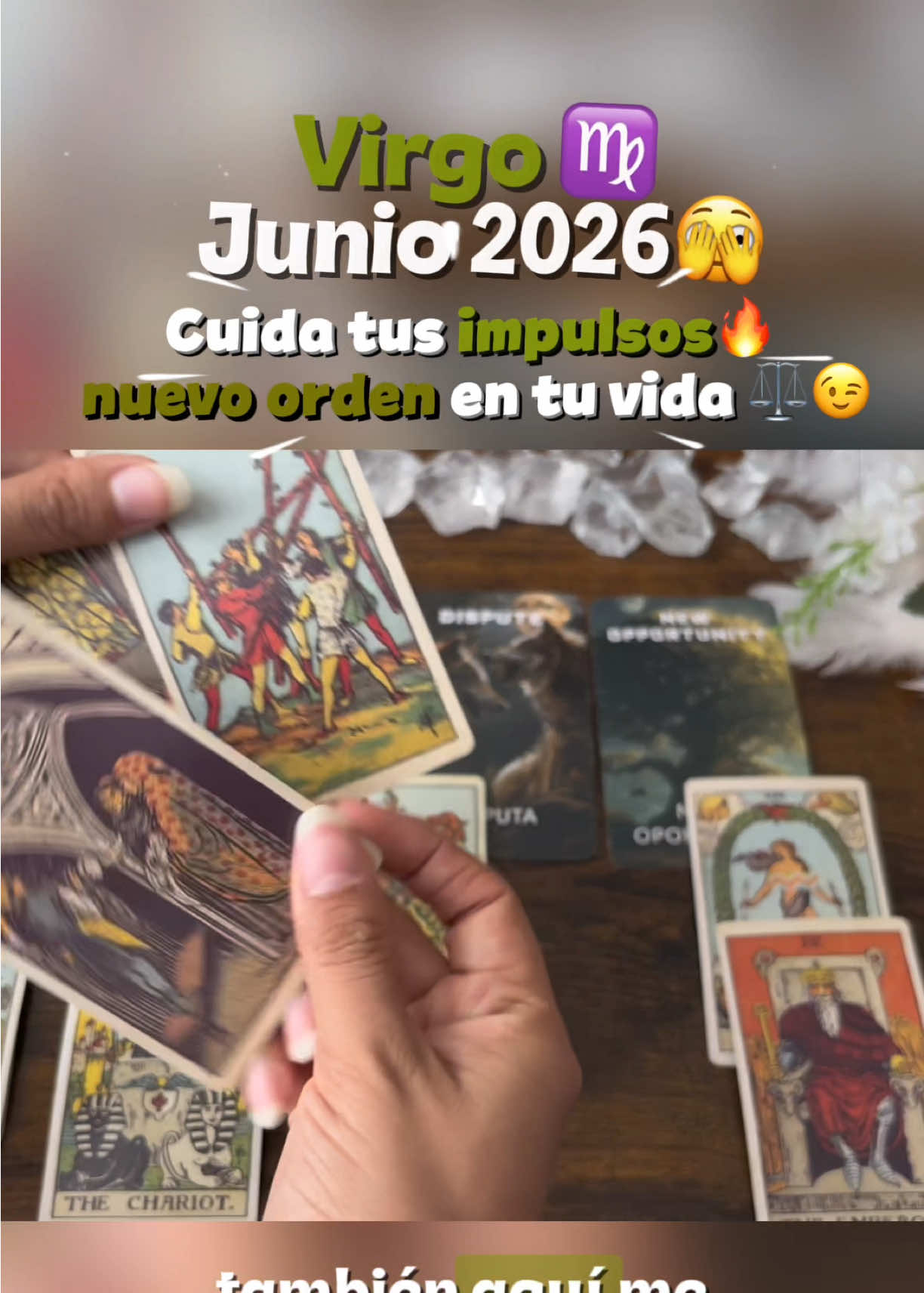 @Andy Sun Tarot ☀️