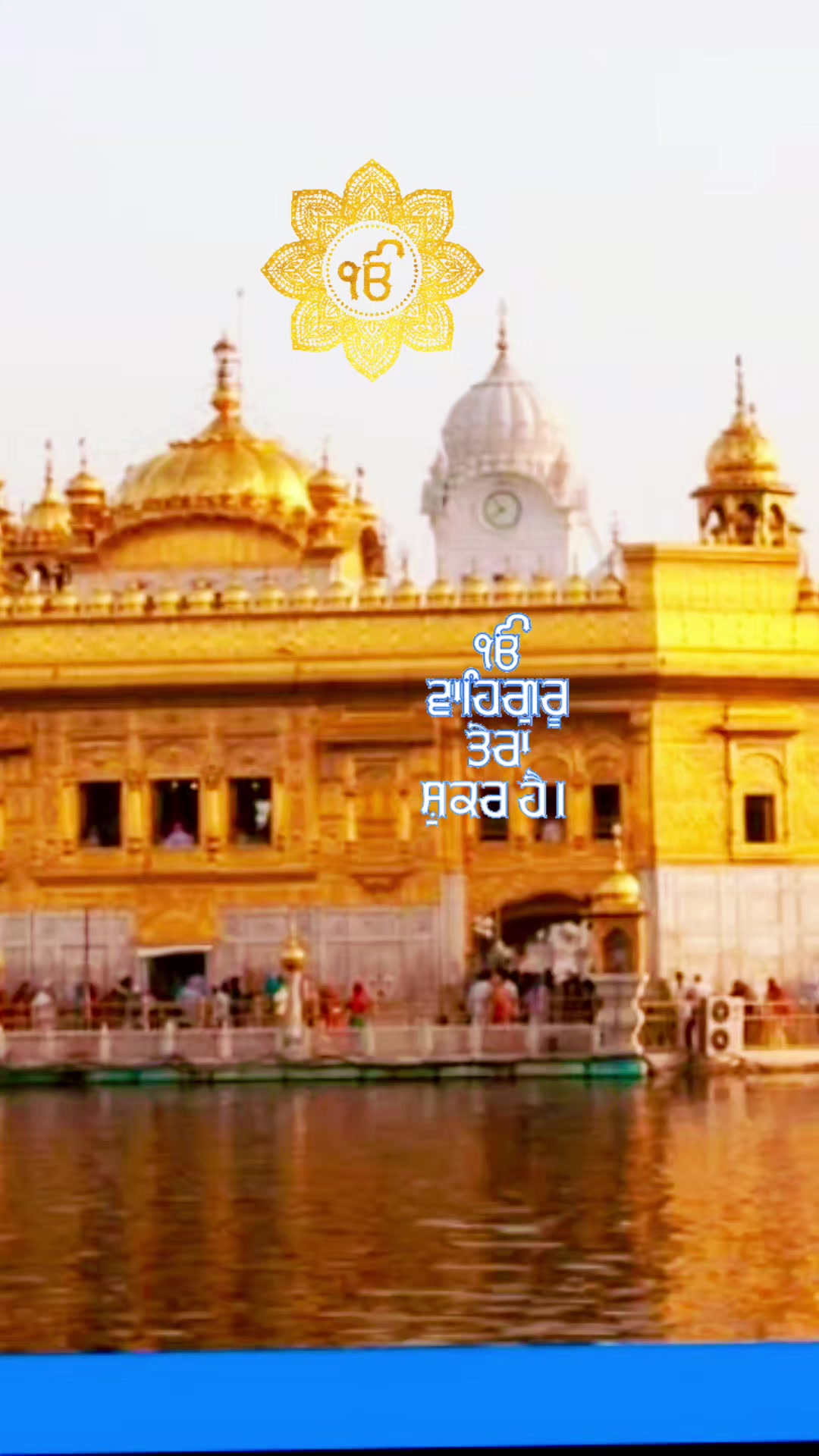 @dhaliwal6