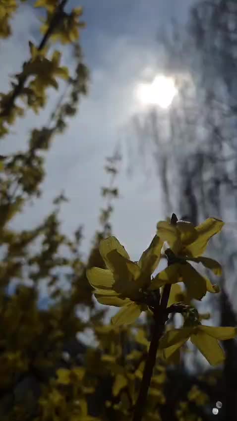 @@backing by mion