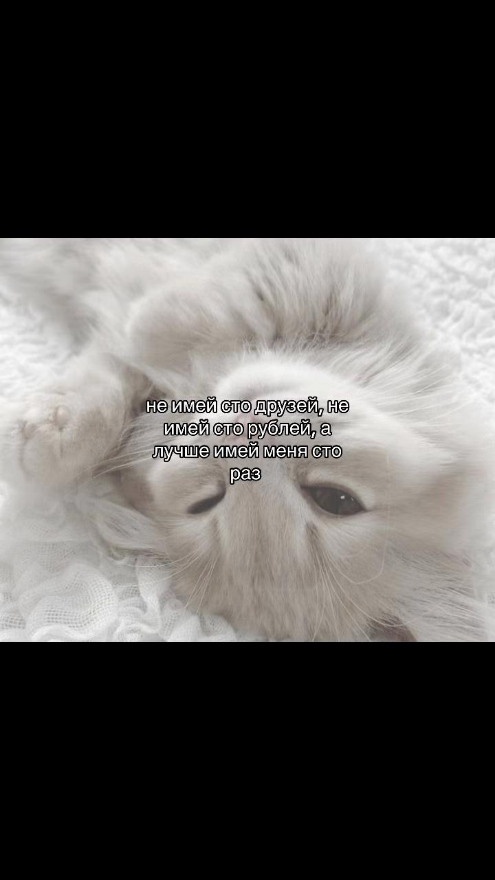 @݁˖𝜗ৎ ᥎ᥲᥒiᥣᥣᥲ‧˚꒰🐾୭ ˚