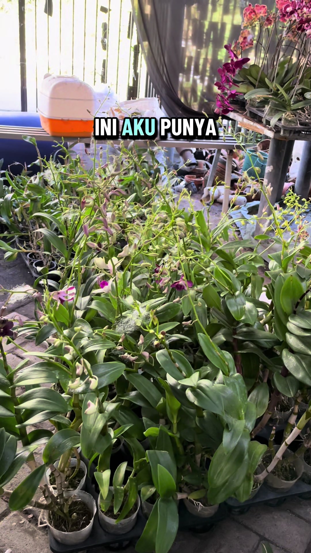 @Griya sekarindo utama