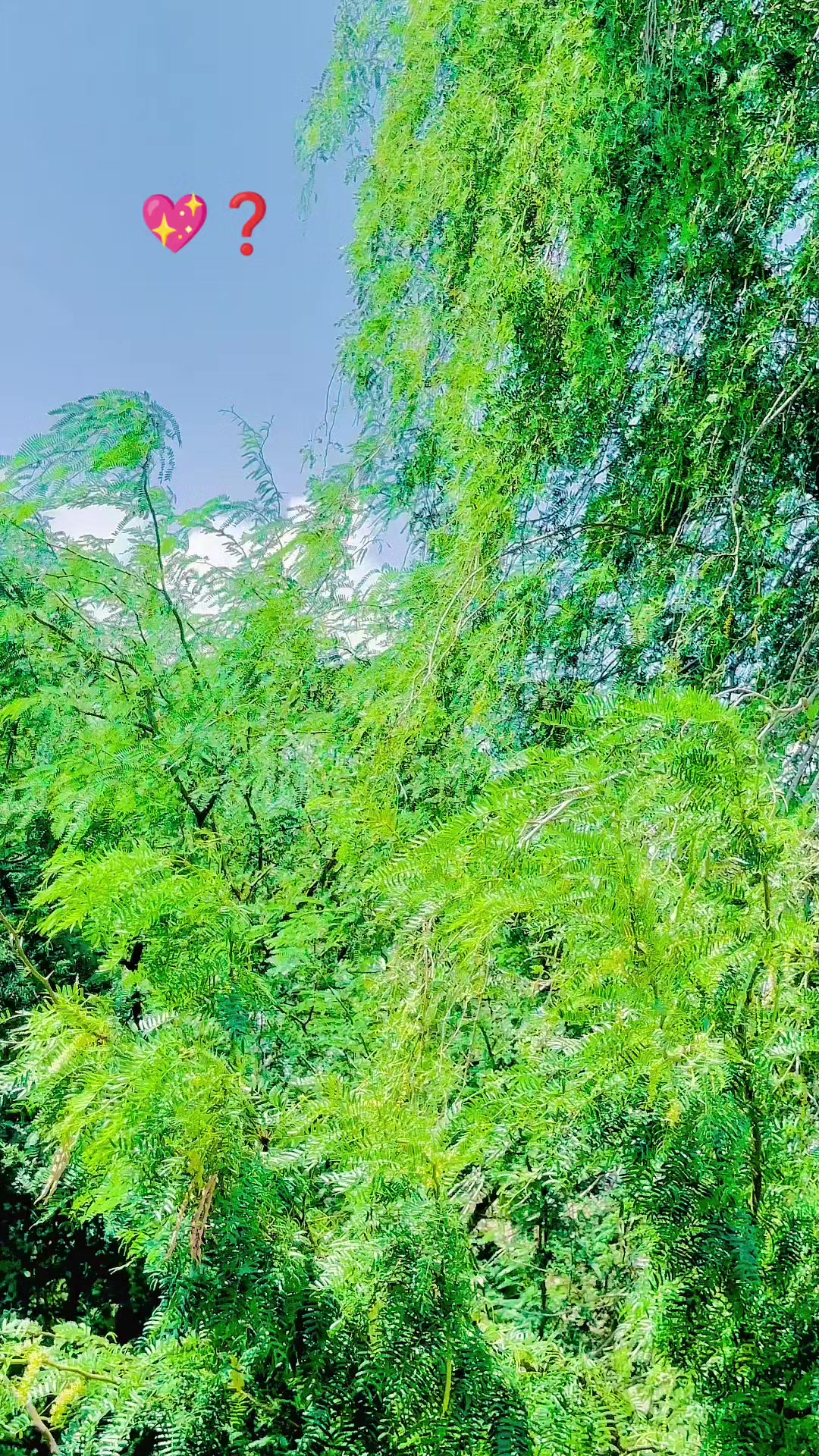 @👑رائیسKAKO🇦🇫🇩🇪🚬
