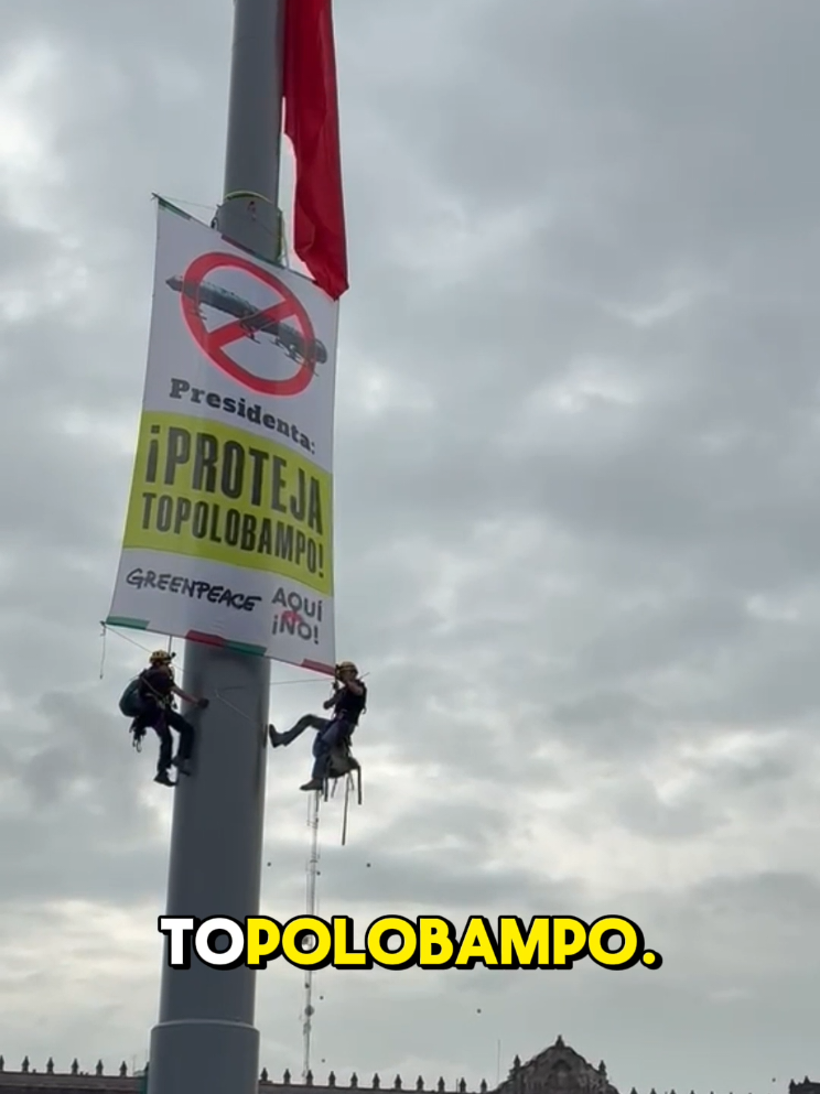 @Greenpeace México
