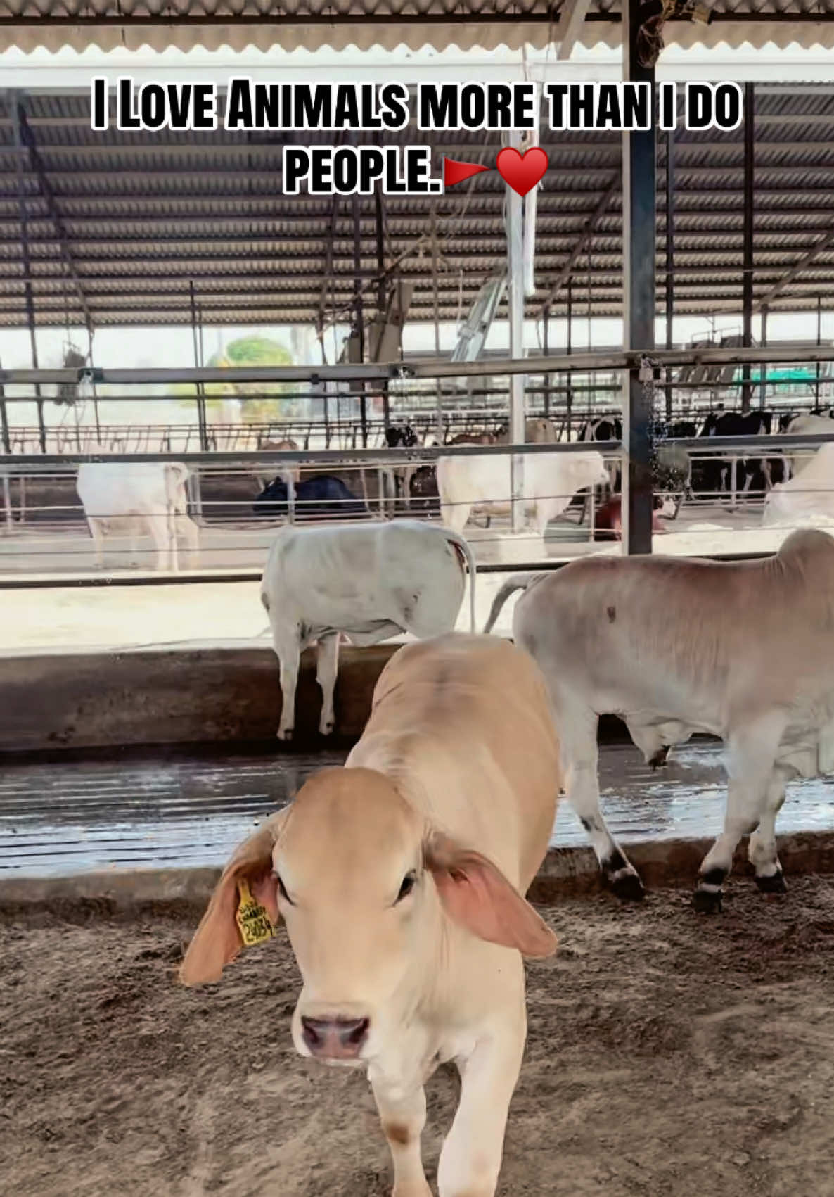 @𝐃𝐨𝐜𝐭𝐨𝐫 𝐌 𝐇𝐮𝐳𝐚𝐢𝐟𝐚