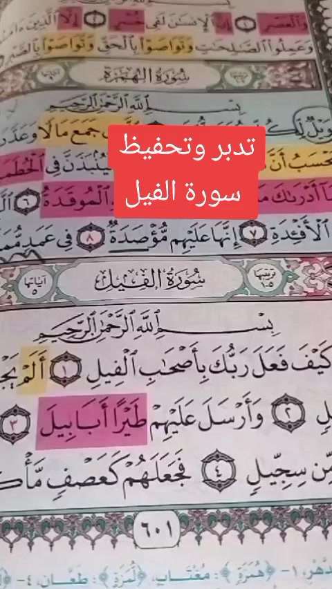@Fadwa wawi