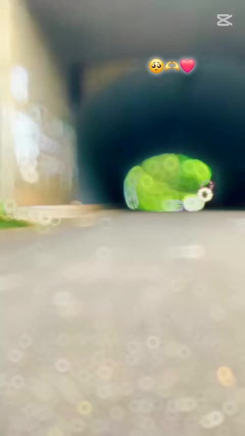 @🫀💞 𝗧𝗛𝗔𝗥𝗨