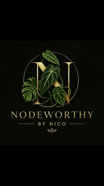 @PlantLadyNico🪴