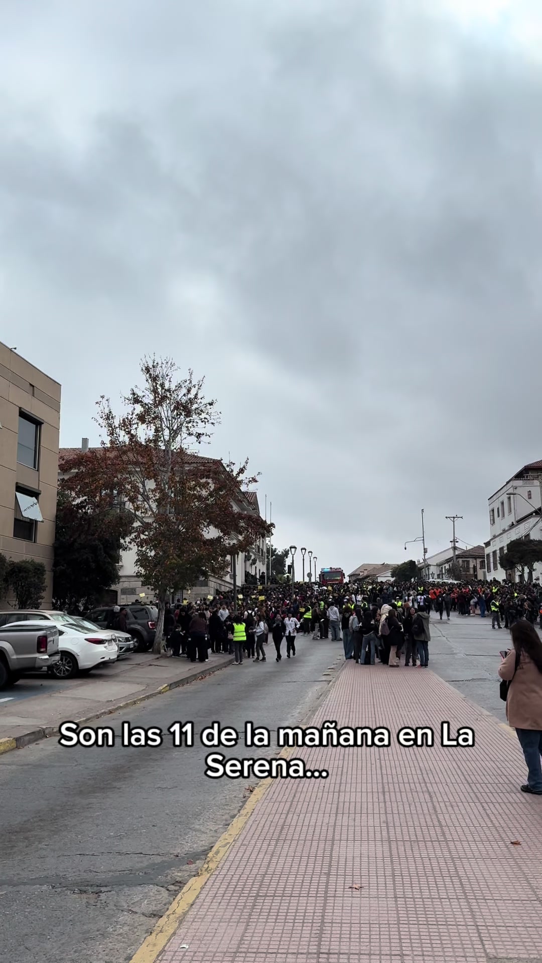 @Proyecto bene la serena