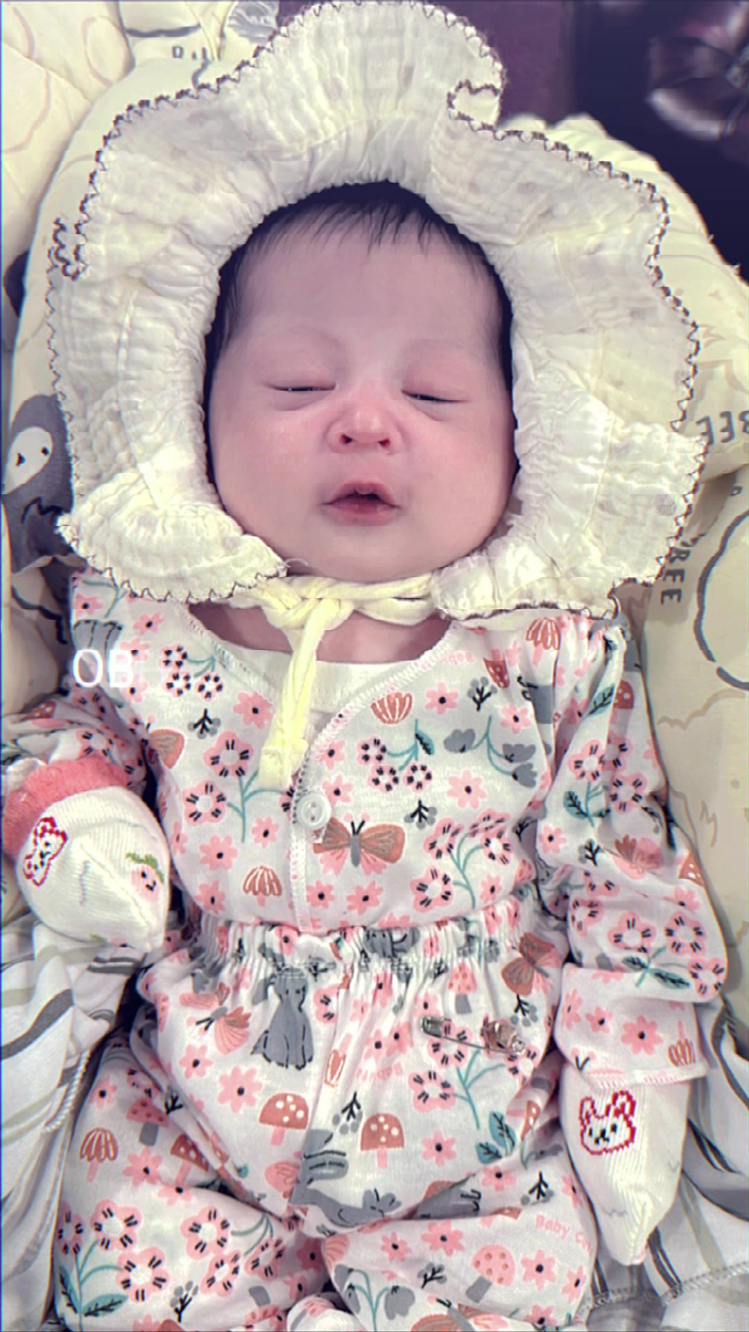 @菲菲𝓿𝓮𝓿𝓮