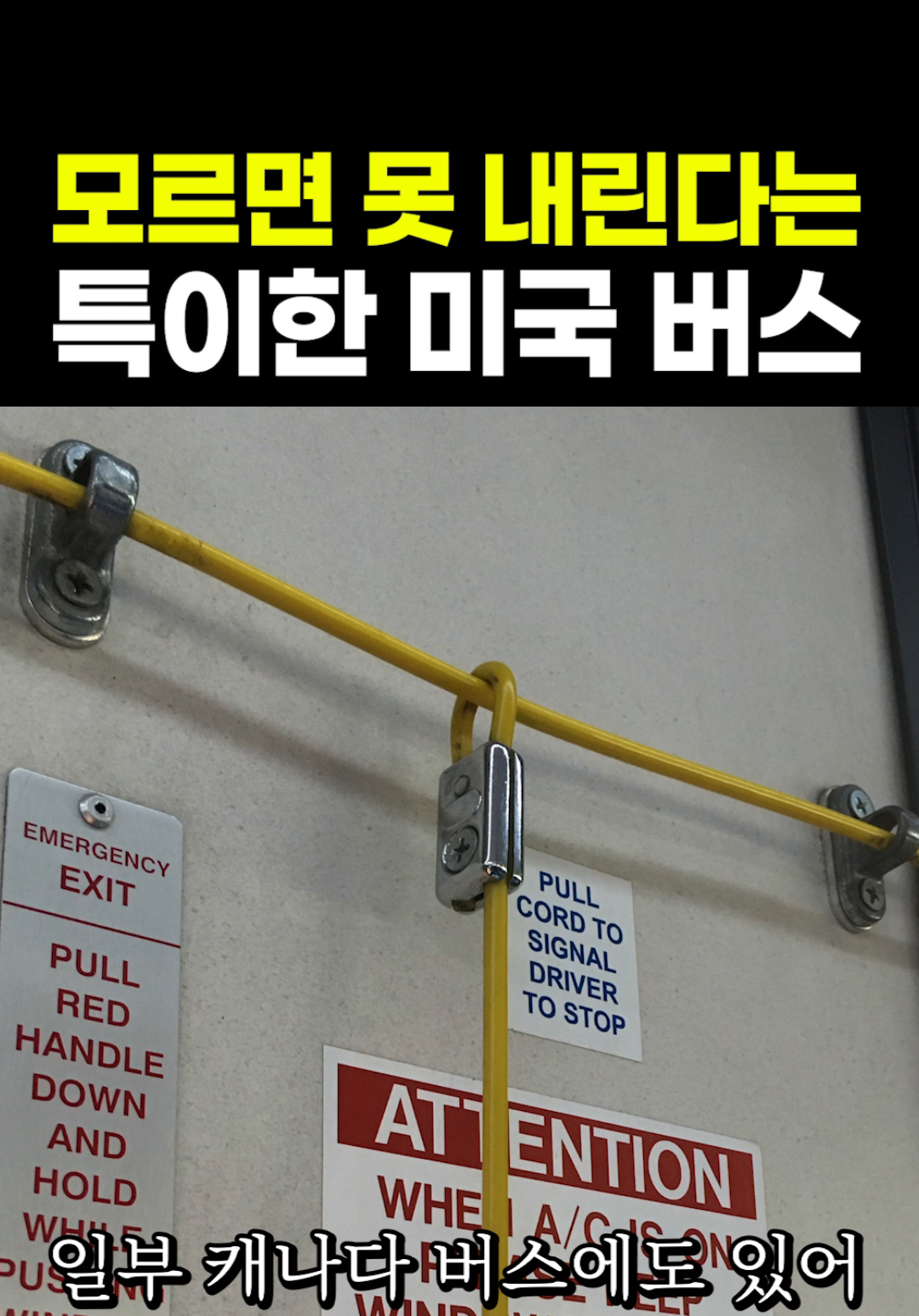 @짧주